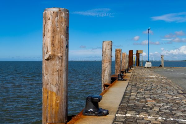 Dock Piling Repair